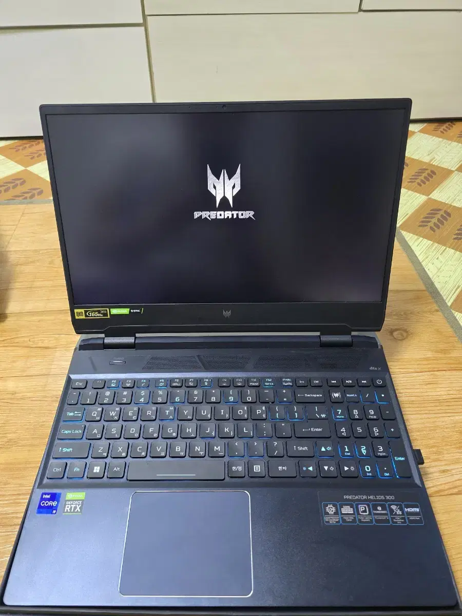 Acer Predator Helios 300 Gaming Notebook