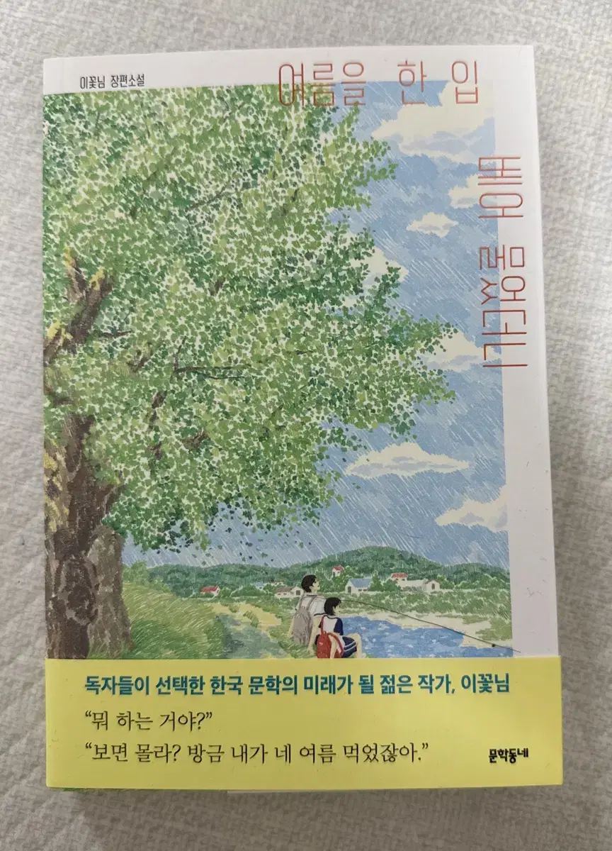 여름을 한 입 베어 물었더니 이꽃님 소설 판매