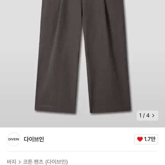 다이브인 치노 파플차콜 (0) 새제품