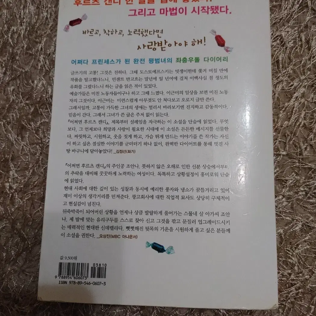 어쩌면 후르츠 캔디 소설 도서