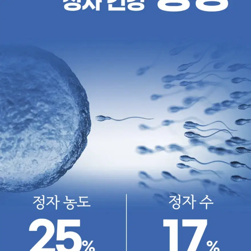 남성 드로즈 남자 팬티 속옷 4개 세트