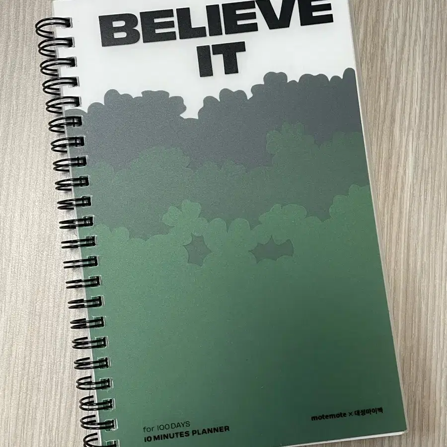 대성마이맥 모트모트 believe it 스터디플래너 100days