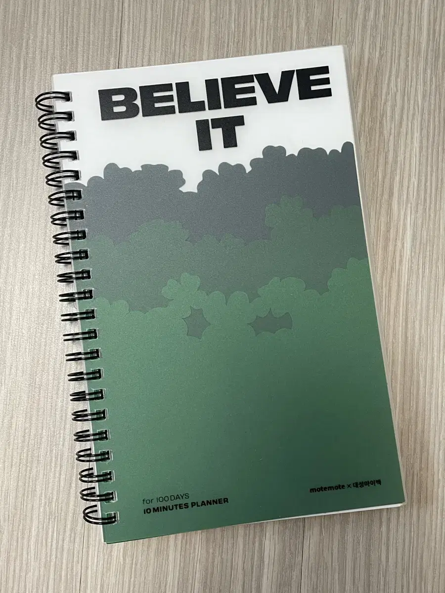 대성마이맥 모트모트 believe it 스터디플래너 100days