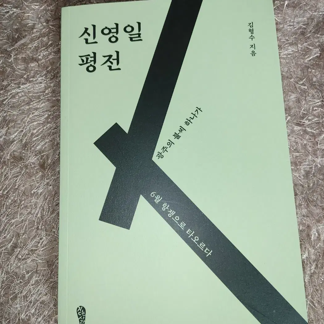 신영일 평전 사회 한국근현대사 도서 책