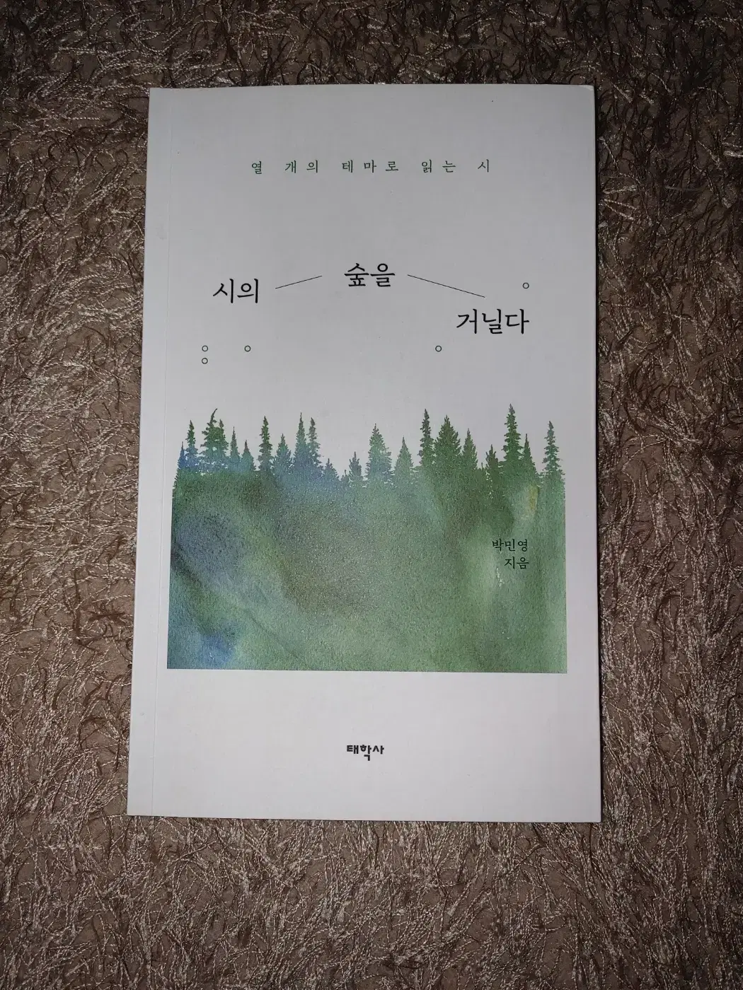 시의 숲을 거닐다 문학 시 도서