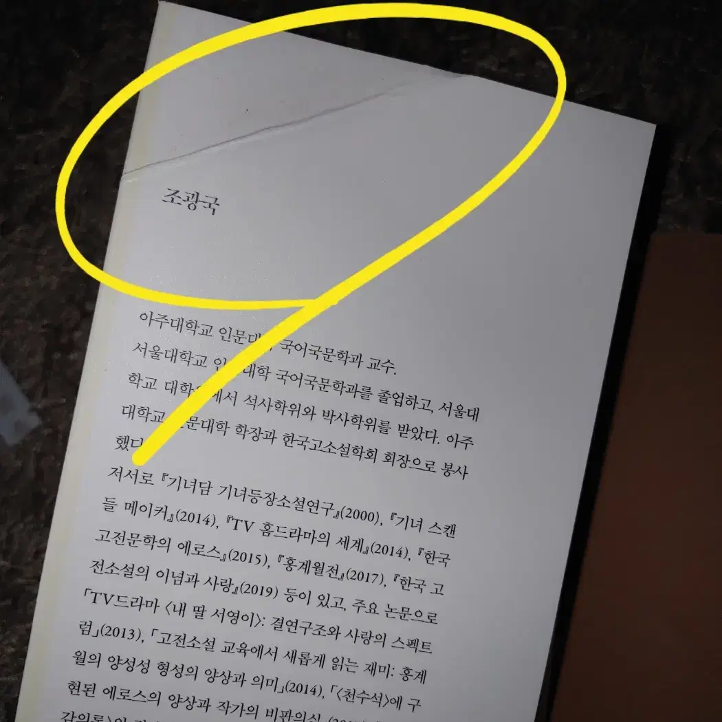 조선시대 대소설의 이념적 지평 문학 국문학 소설론 도서