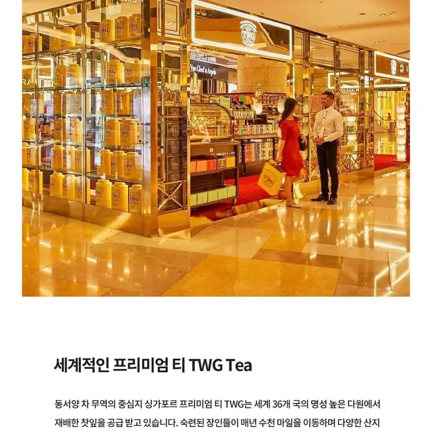 TWG Tea 베스트셀렉션 프리미엄 티백