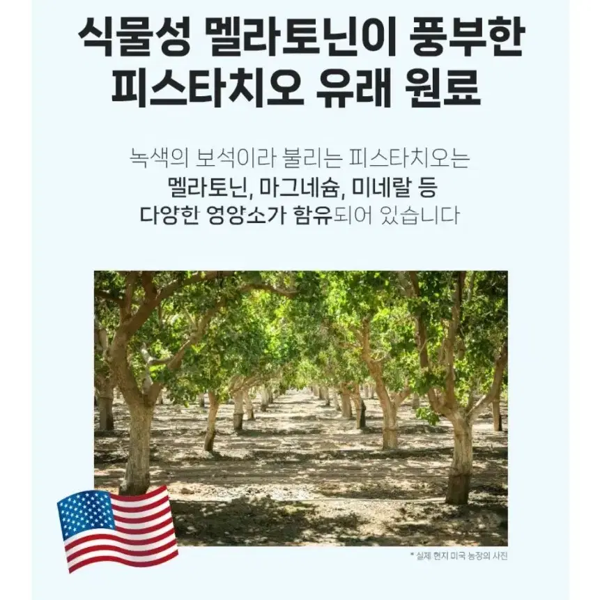 식물성멜라토닌