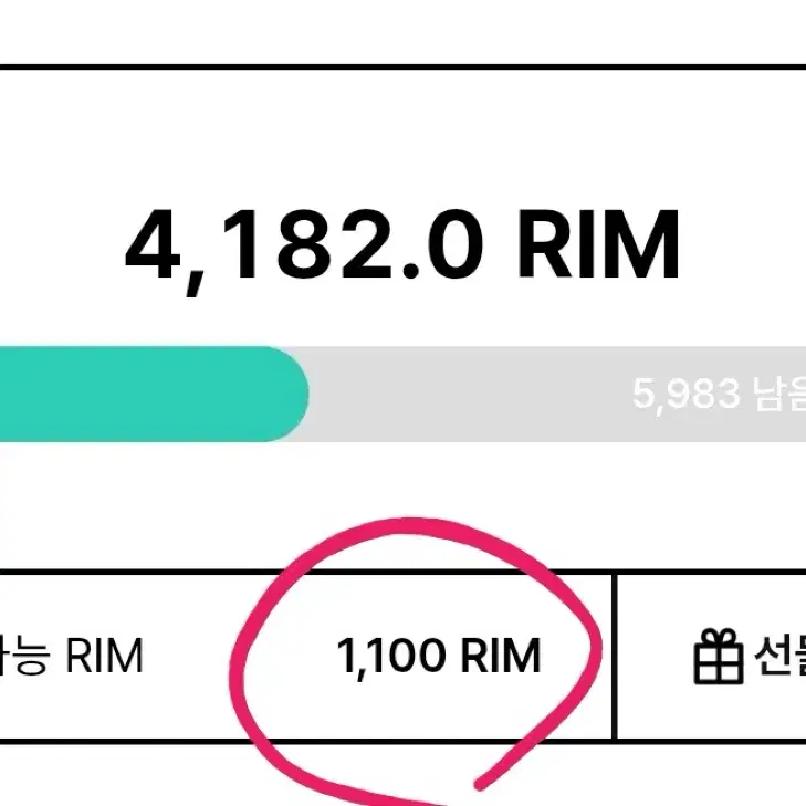 아난티 rim 림포인트 팝니다