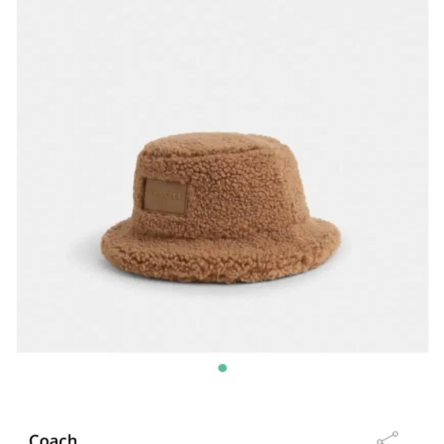 Coach (Sherpa Bucket Hat)