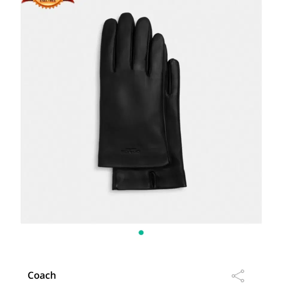 Coach (Leather Tech Gloves)