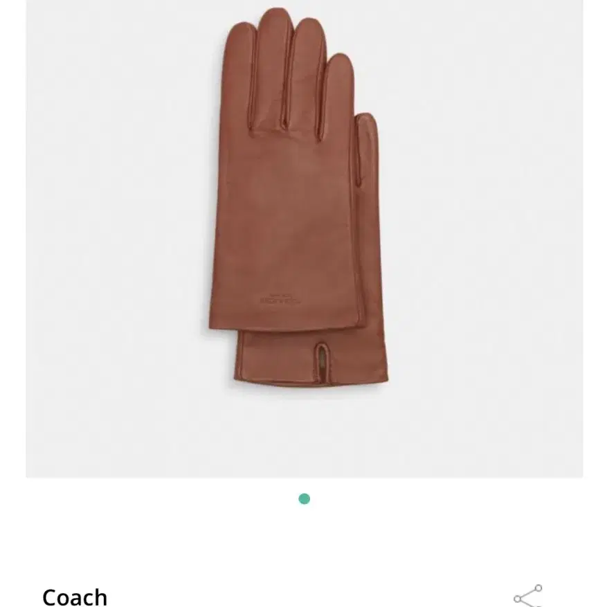 Coach (Leather Tech Gloves)