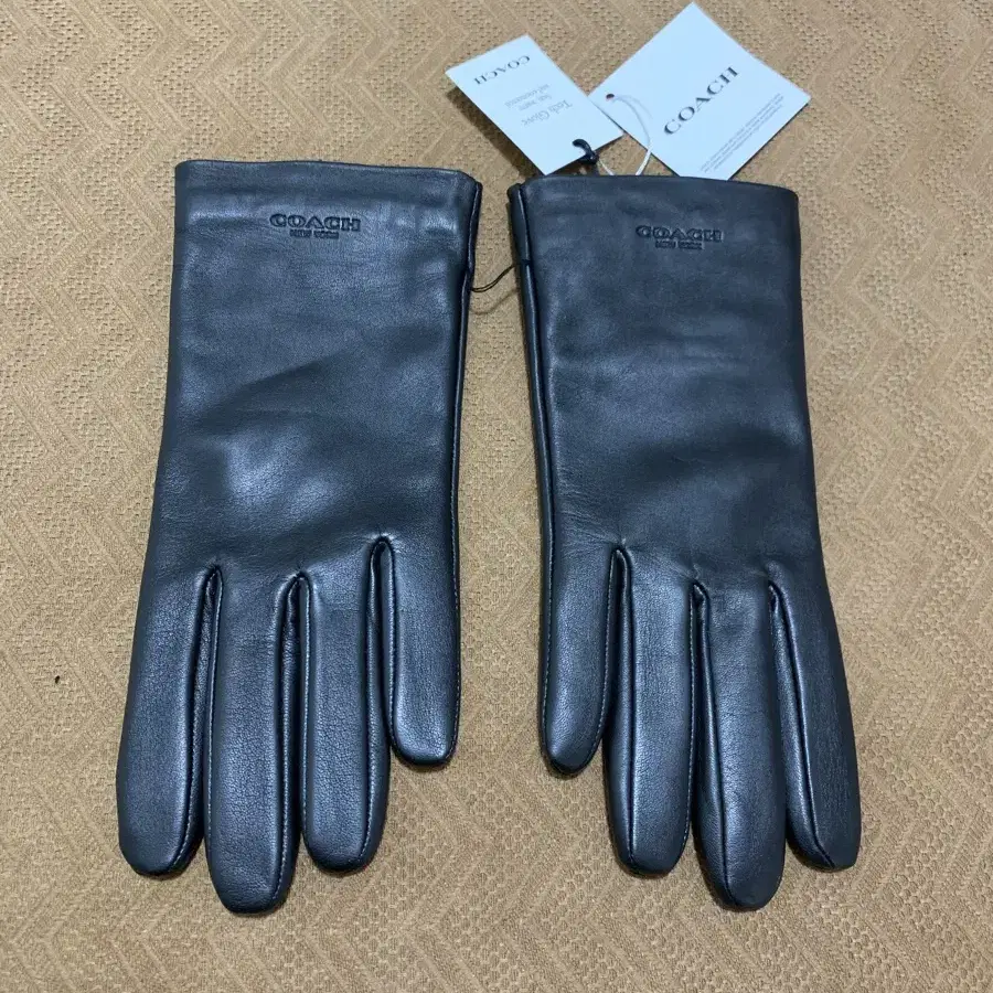 Coach (Leather Tech Gloves)