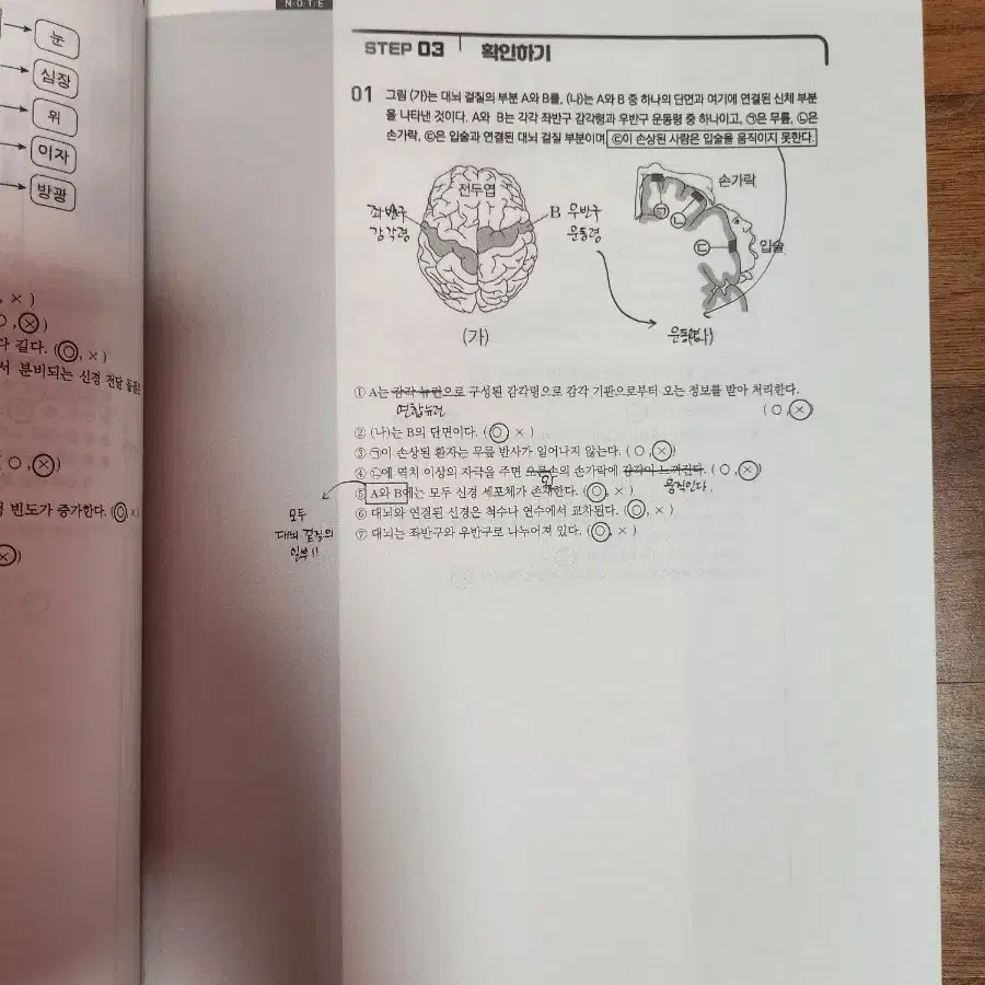 김태영t 생명과학(비유전편) (강남대성 S2자료)