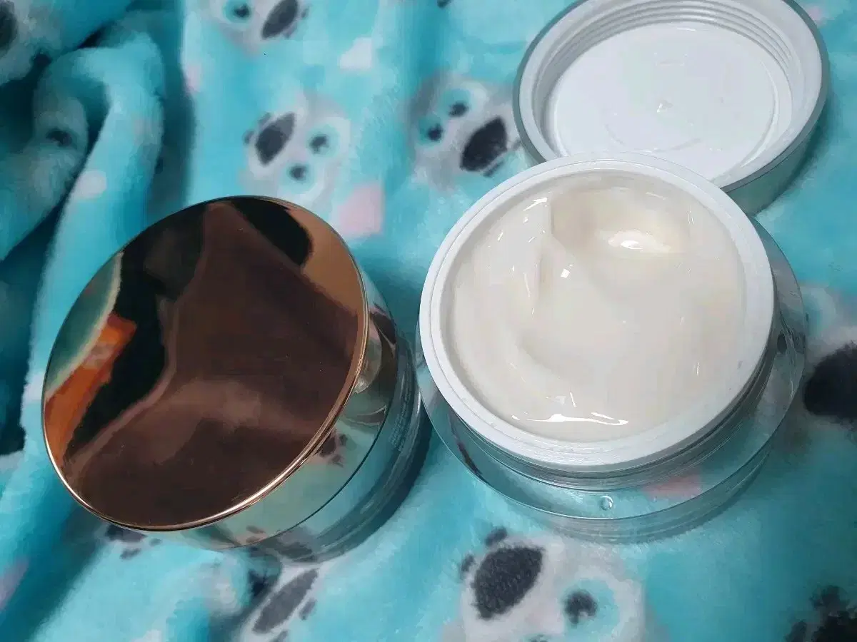 Witch Factory Bifida Biome Concentrate Cream