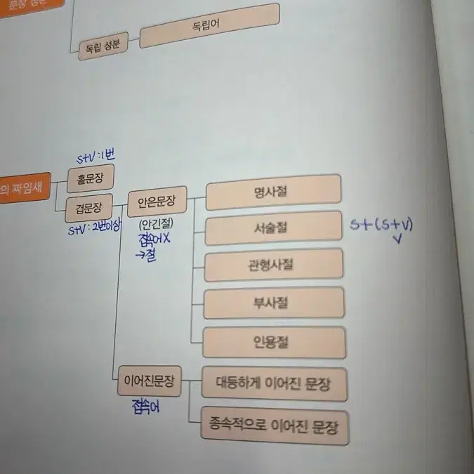 2025단일비 언매(체화서 새책)