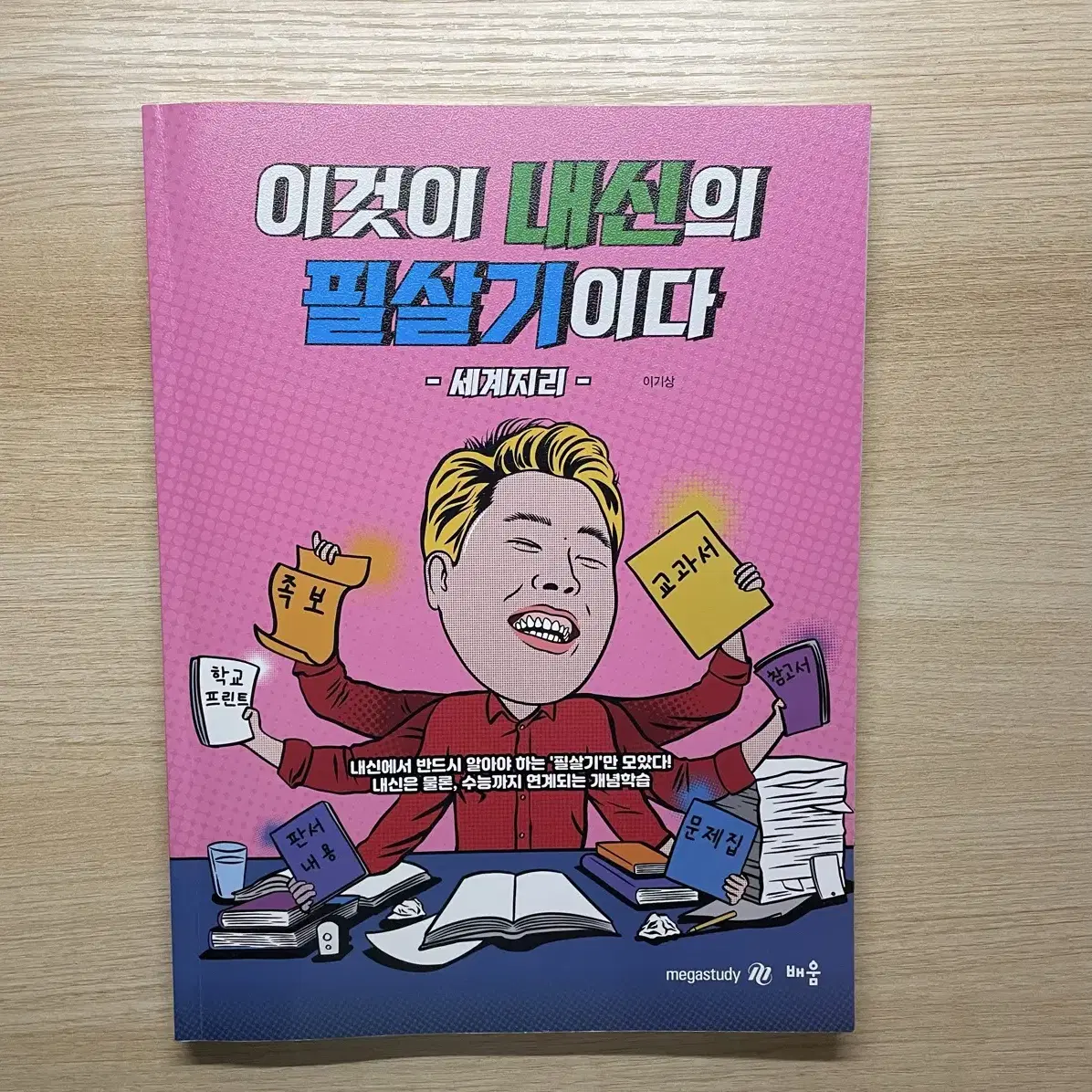 메가 이기상 세계지리 (내신)