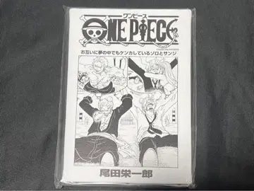 원피스 문 그림 아트 보드 조로 상디 단권 91권