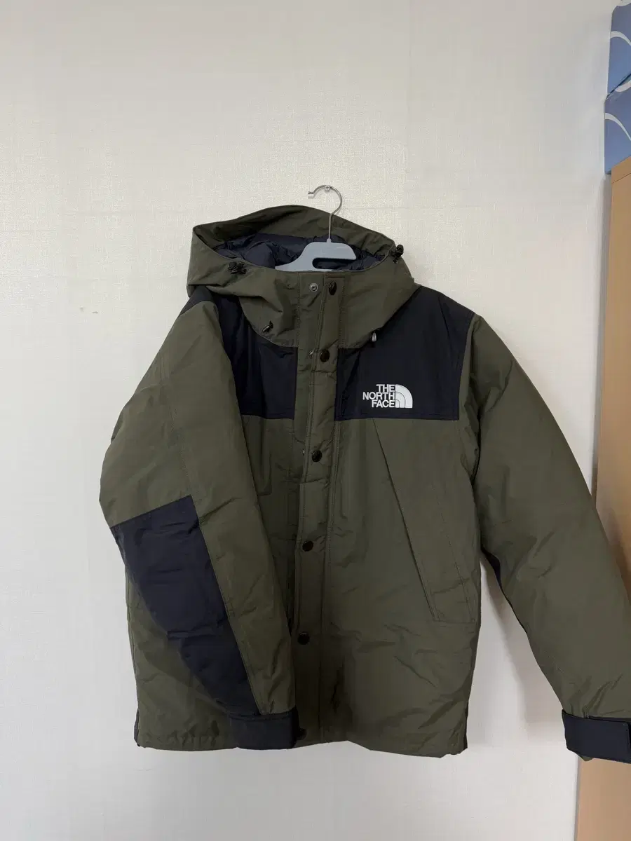 The North Face Japan Gore-Tex Mountain Down Jacket