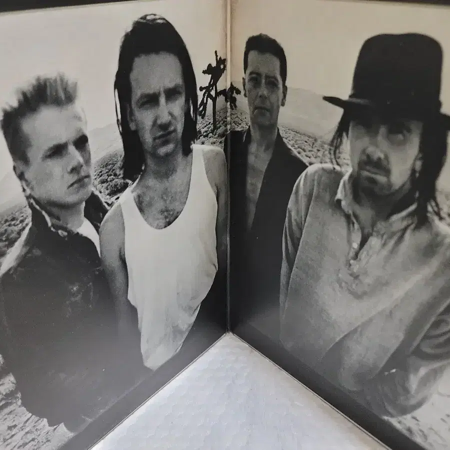 U2 LP