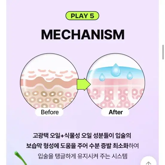 새상품) 워터풀 젤리 립 에센스 립밤 립글로즈 에이블리 지그재그 삐아