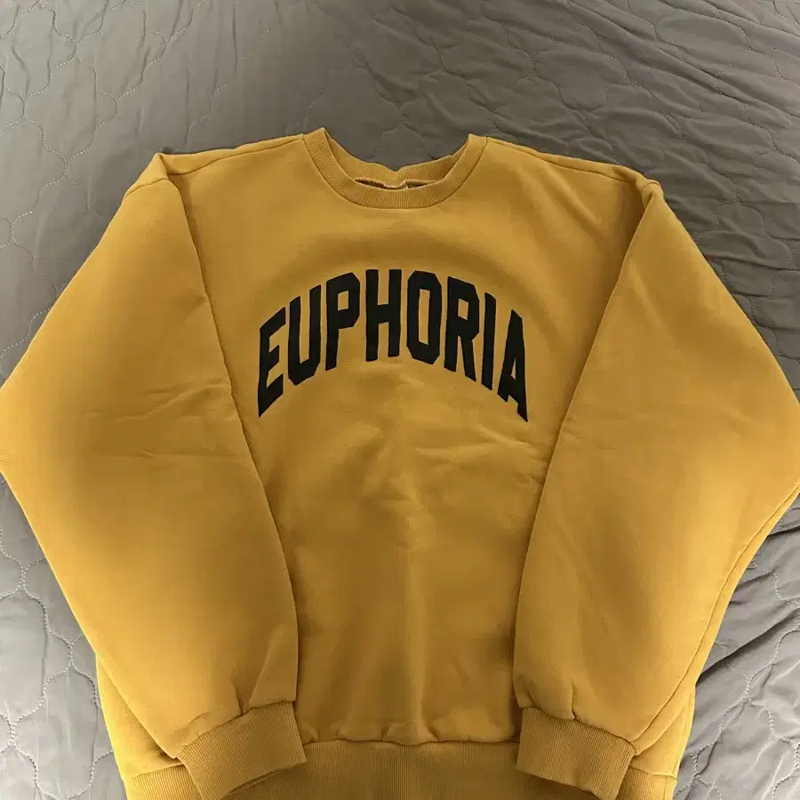 [L] 컬렉트피시스 collectpieces EUPORIA 스웻셔츠