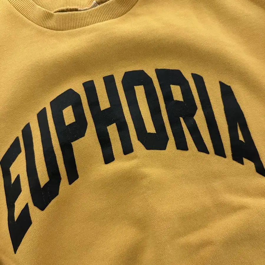 [L] 컬렉트피시스 collectpieces EUPORIA 스웻셔츠