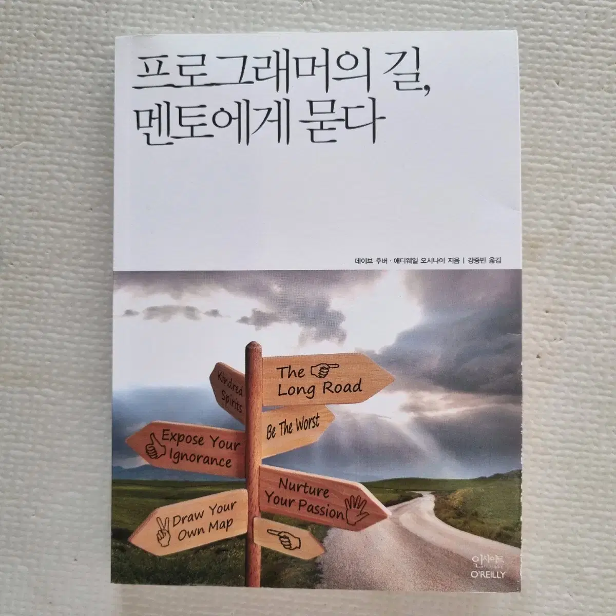 프로그래머의 길, 멘토에게 묻다