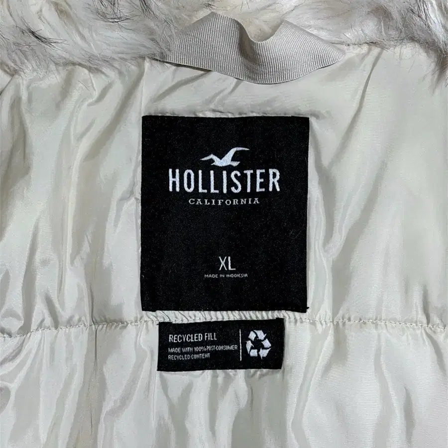 HOLLISTER