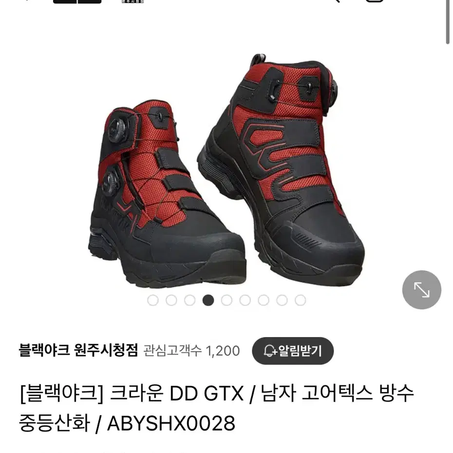 블랙야크 등산화 크라운DD GTX (255)