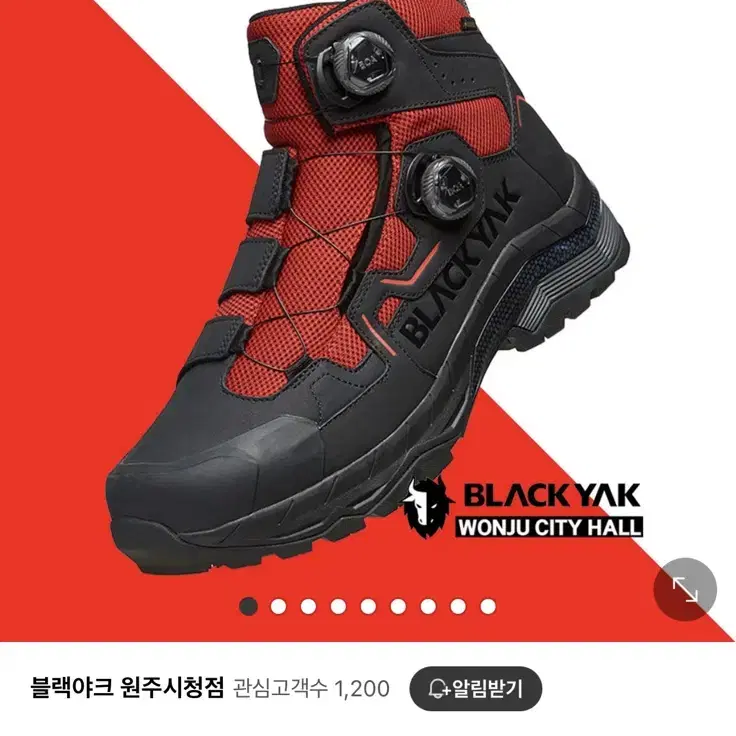 블랙야크 등산화 크라운DD GTX (255)