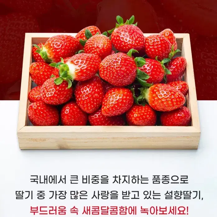 선물용 설향 딸기 500g(12~20구)모바일 기프티콘