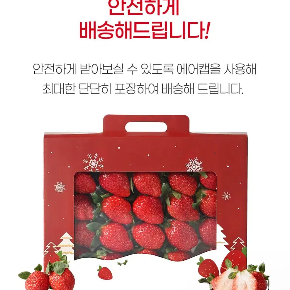 선물용 설향 딸기 500g(12~20구)모바일 기프티콘