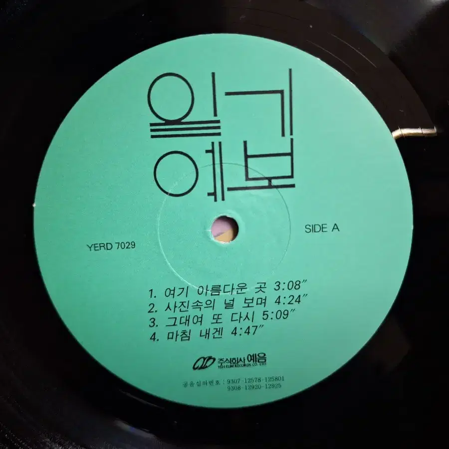 귀한음반/일기예보 1집 LP