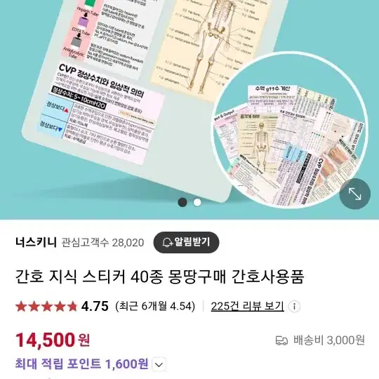 (너스키니) 신규간호사 40종 의학지식 스티커