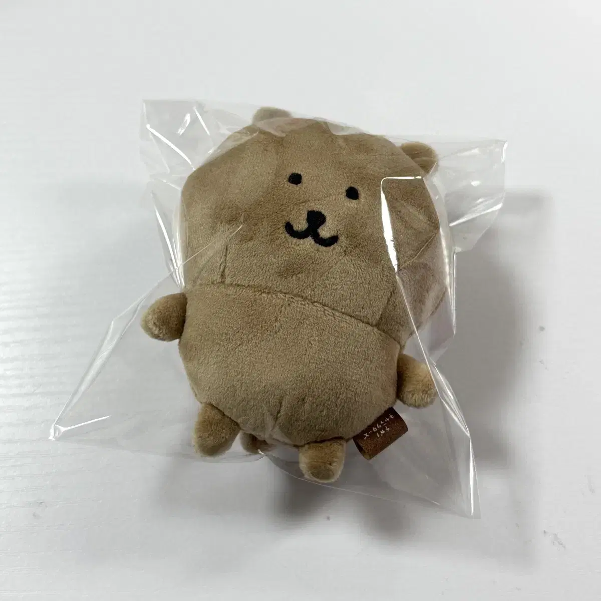 태닝곰 태닝 농담곰