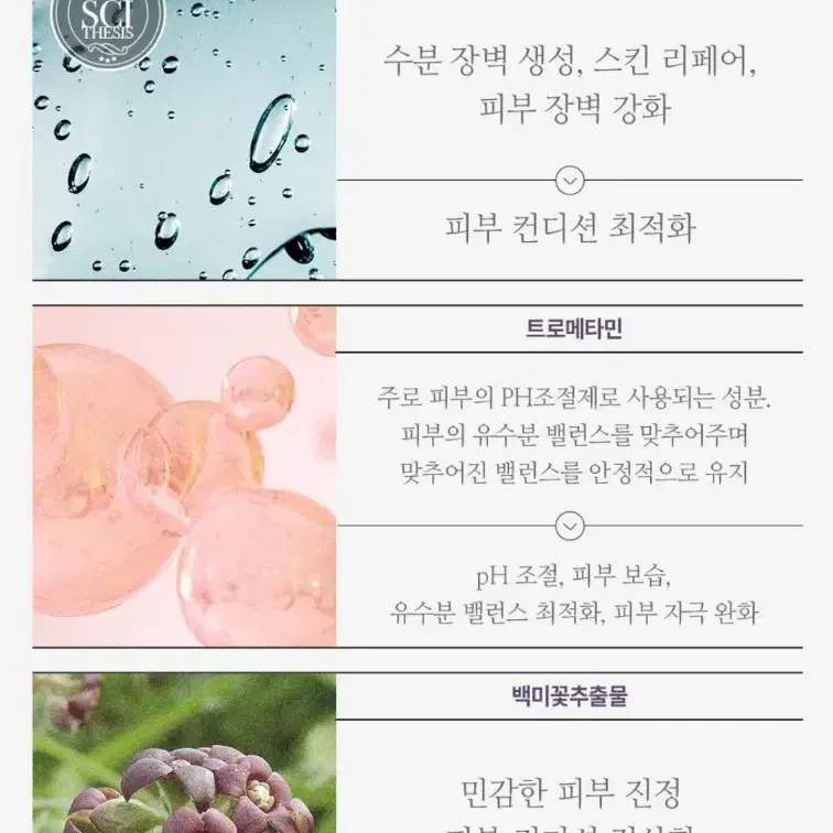 주름앰플