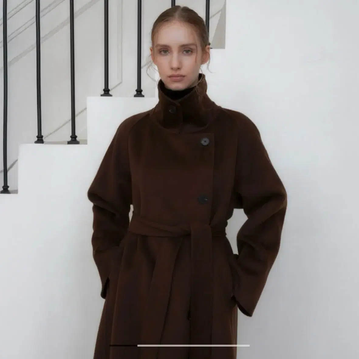 리리수 hazel coat brown (m)