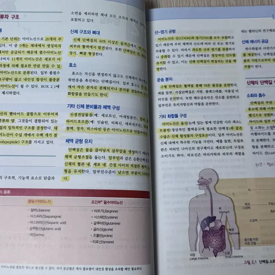 현문사 간호와 영양