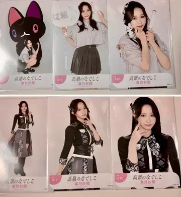 나데시코 나데시코 브로마이드 하즈키 사란
