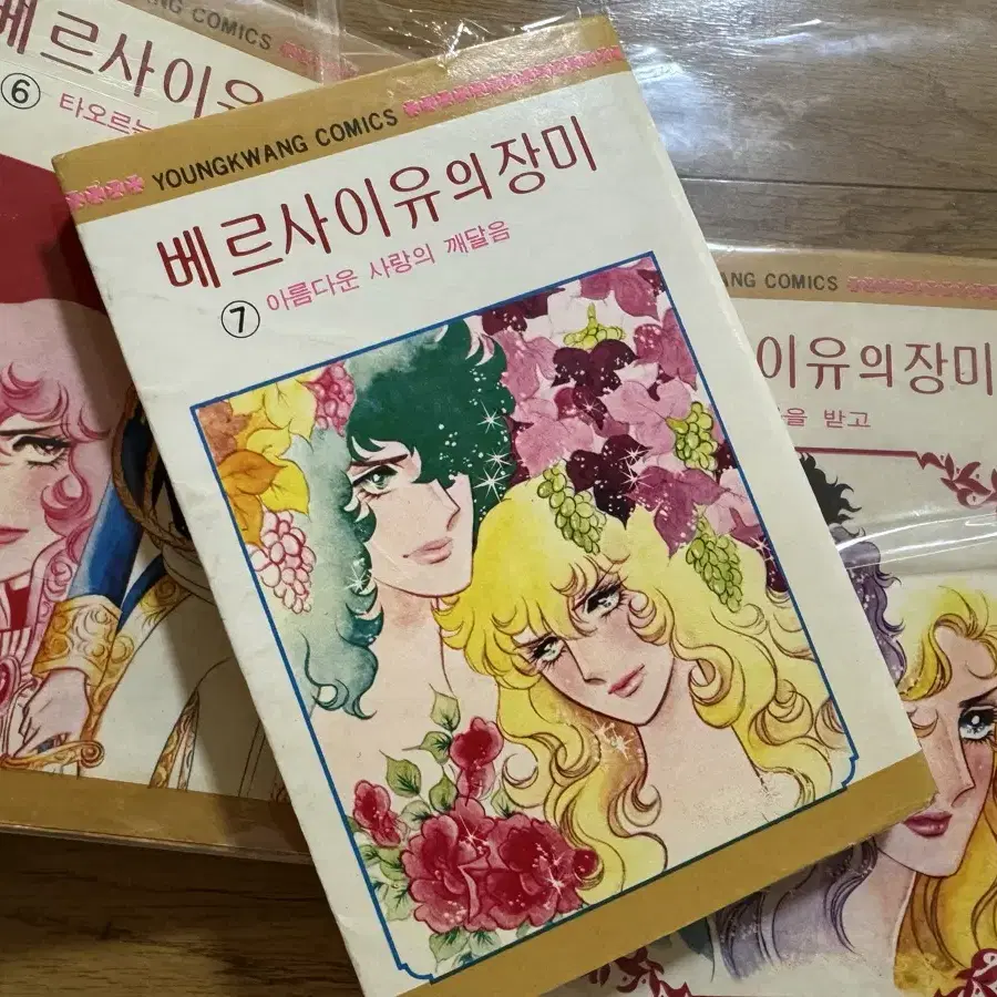 베르사이유의 장미 영광출판사