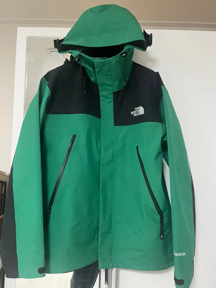 The North Face 24SS Mountain Gore-Tex 3L (L size)