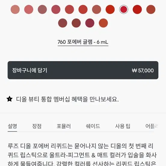 [디올 뷰티] 루즈 디올 / 루즈 디얼 포에버 리퀴드 (디올 립스틱)