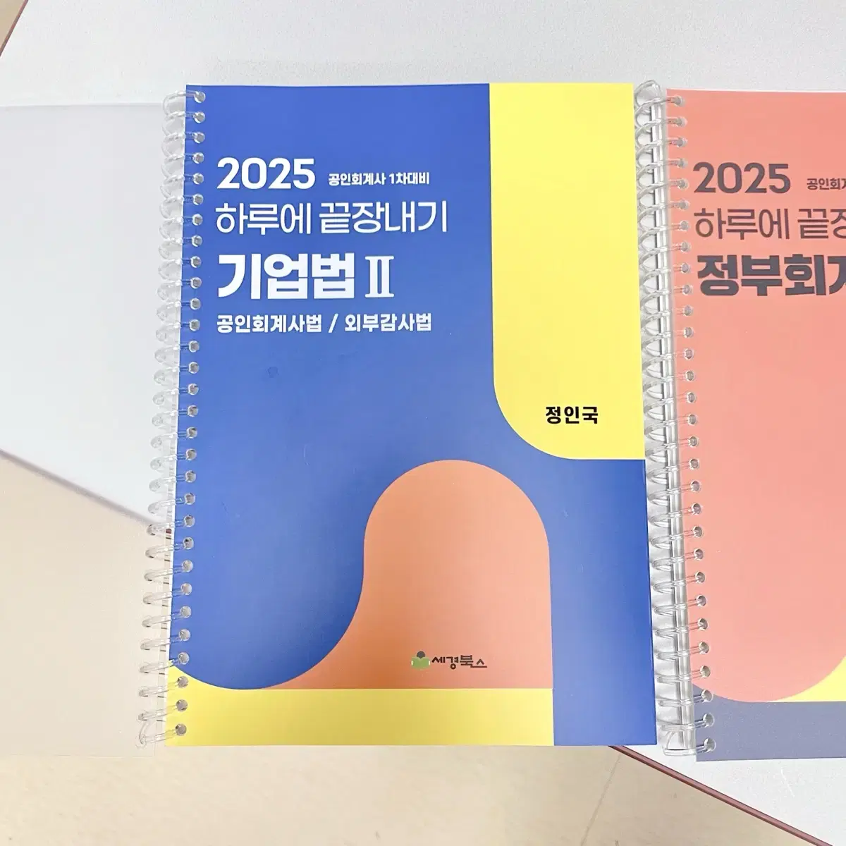 *새책* 2025 공인회계사1차 하끝: 기업법2,정부회계/하루에끝장내기