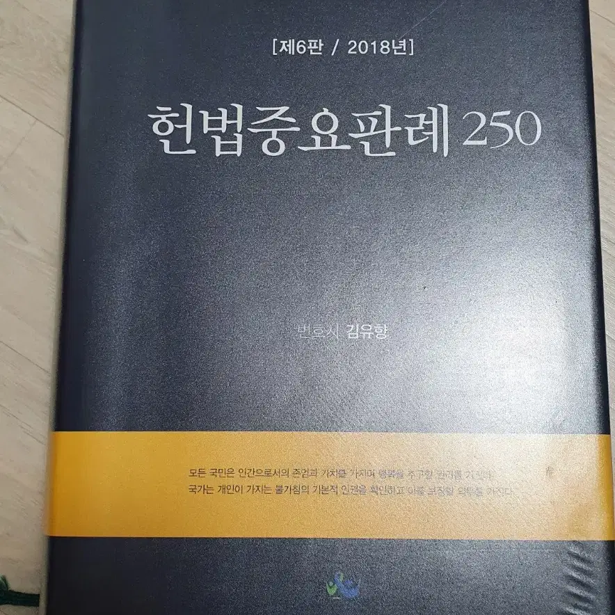 헌법중요판례 250