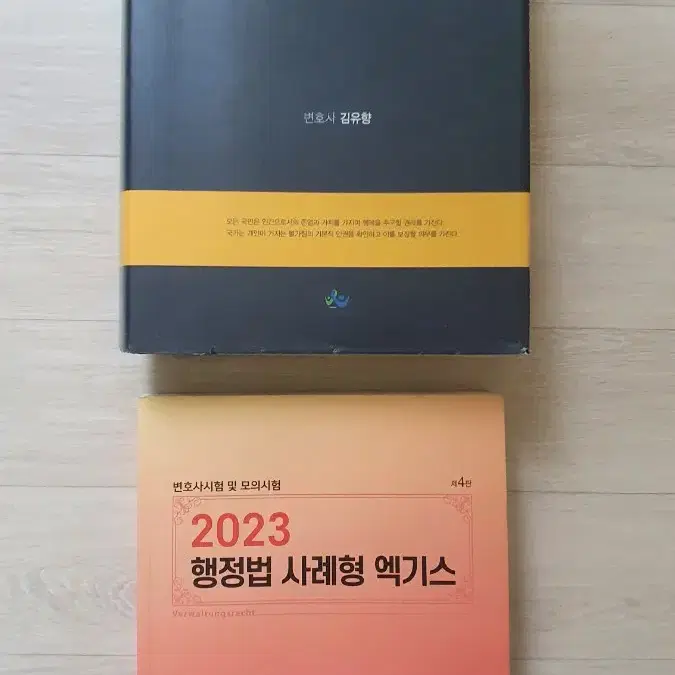 헌법중요판례 250