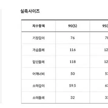 노스페이스 히말라야 파카(대장패딩) L(100)