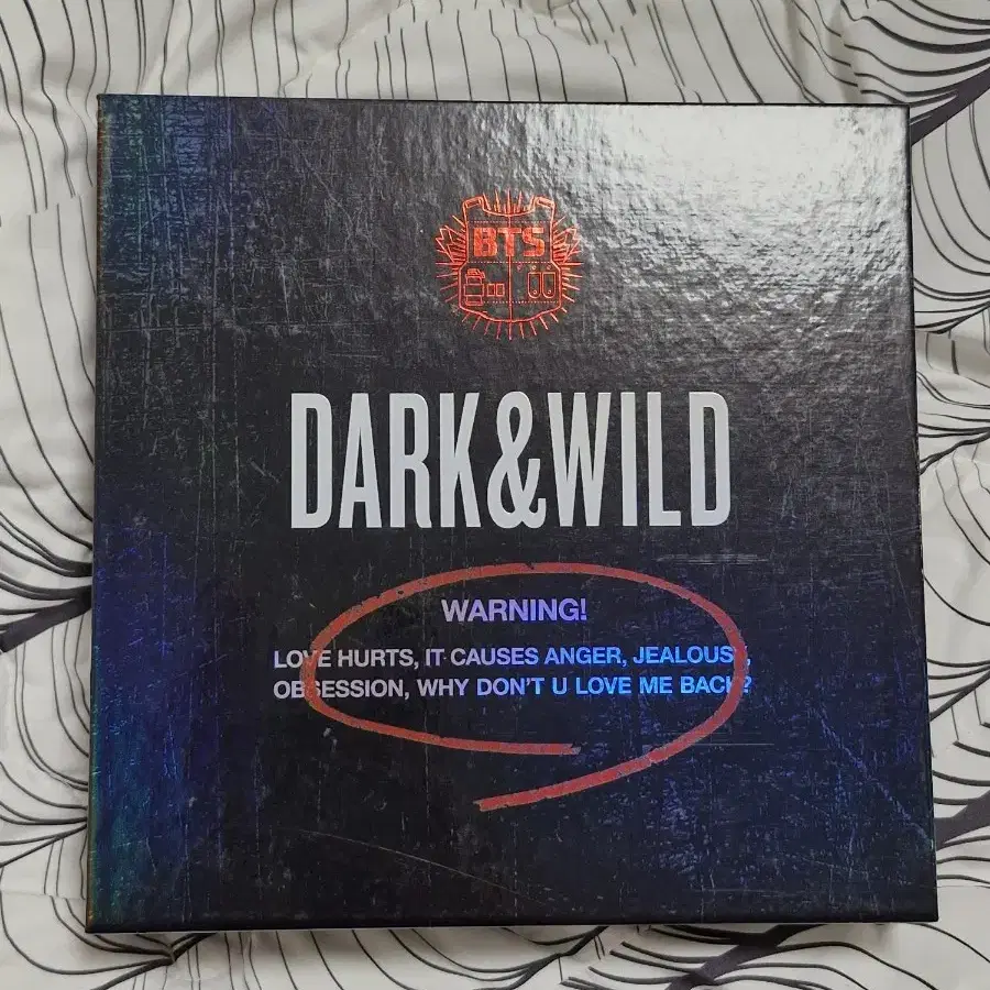 방탄 앨범 DARK&WILD