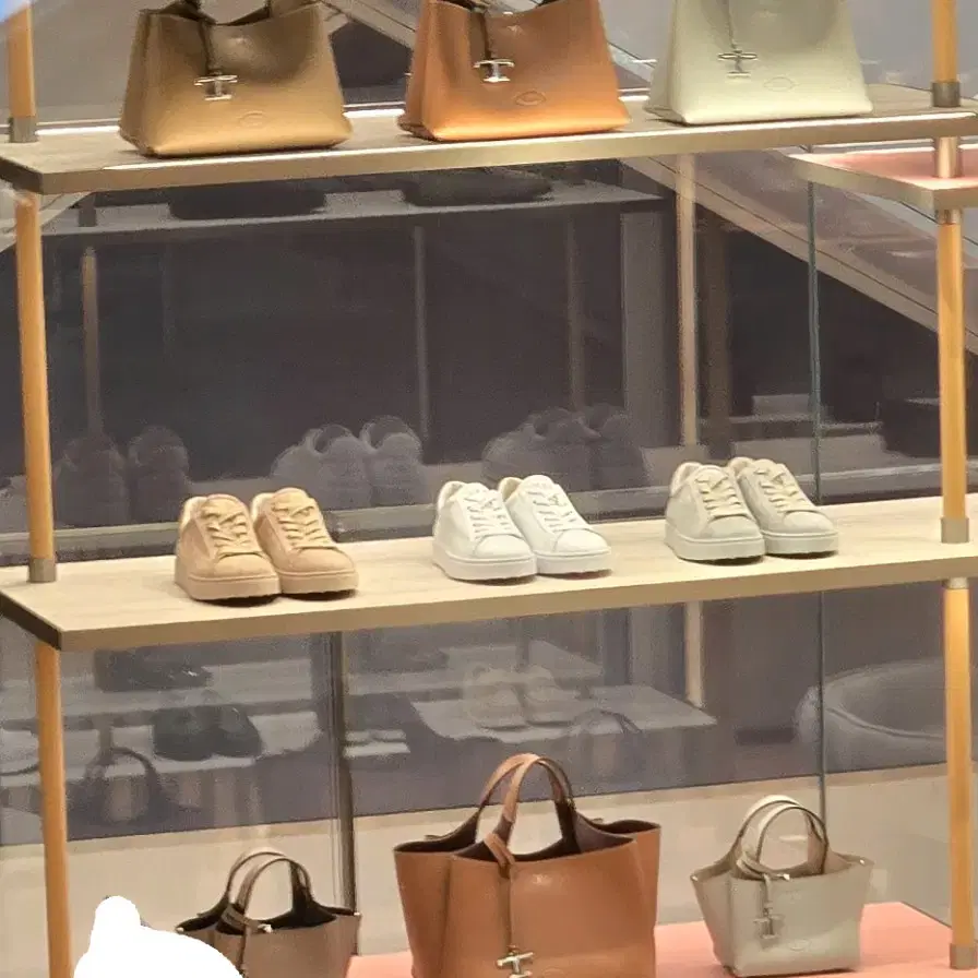 Tods  토즈 매장 전시중 신상 토트백