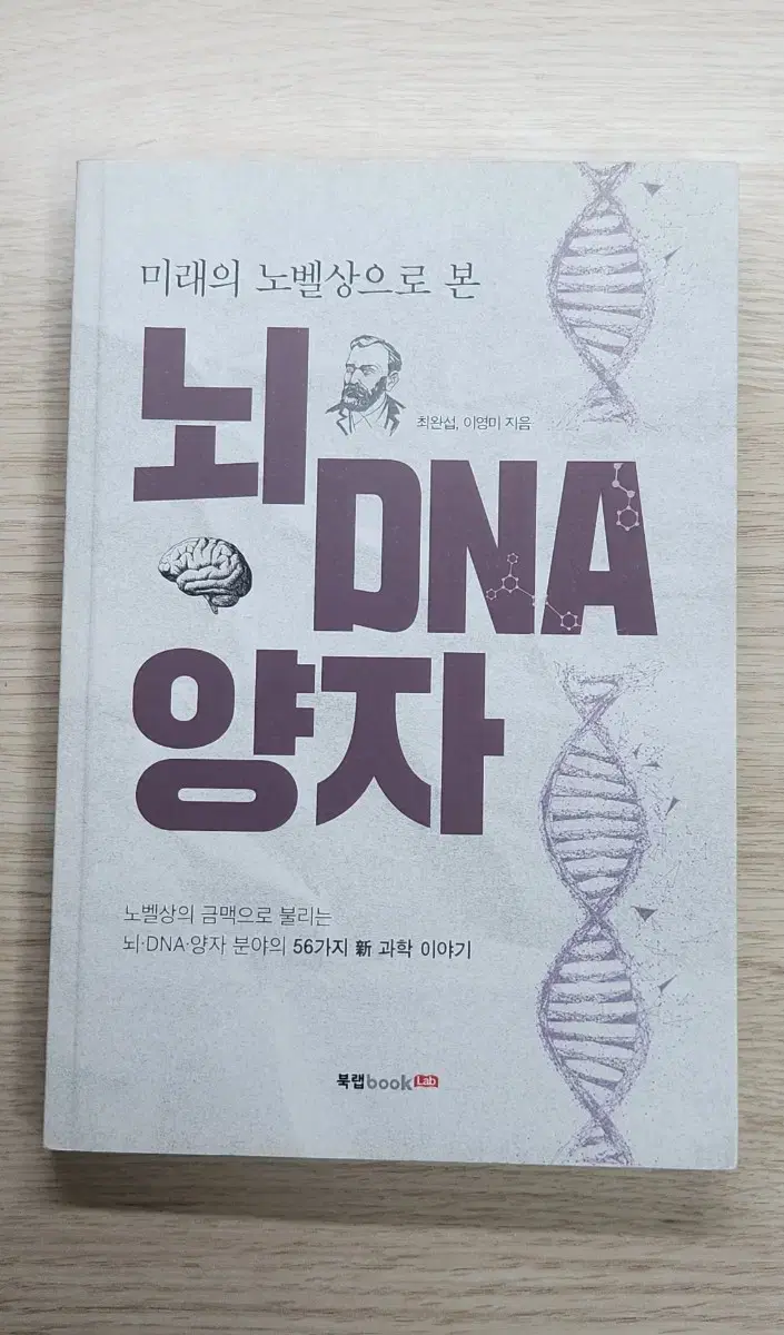 뇌 DNA 양자